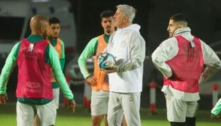 فلاديمير بيتكوفيتش 