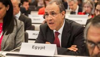 بدر عبدالعاطي وزير الخارجية المصري
