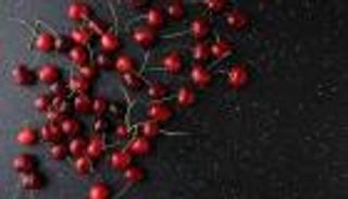 فاكهة صغيرة وتأثير كبير.. الكرز قد يساعد في كبح سرطان الثدي