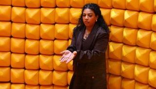 الفنانة دينا سامي
