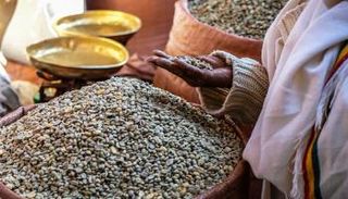 صدمة متوقعة في أسواق الغذاء