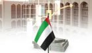 استثمارات بنوك الإمارات تقفز بأكثر من 17% إلى 872.3 مليار درهم