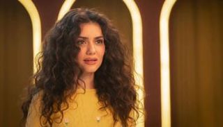 الفنانة جيهان الشماشرجي