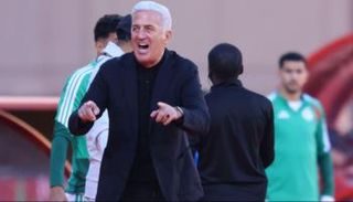 بيتكوفيتش مدرب الجزائر