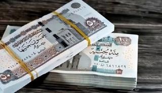 أوراق نقدية مصرية فئتي 100 و50 جنيهاً