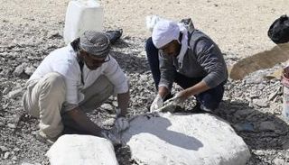 الفريق البحثي أثناء العمل على الحفرية في موقع الاكتشاف