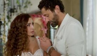 حقيقة زواج كريم محمود عبدالعزيز ودينا الشربيني