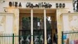 إجازة شم النسيم 2026 في مصر.. الحكومة تحدد موعد افتتاح حديقة الحيوان بالجيزة