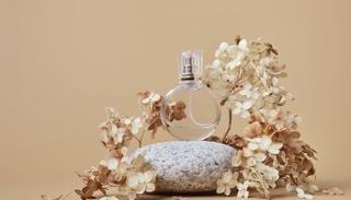 أكثر العطور انتشارًا في 2026