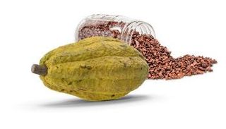 جانب من مراسم توقيع الشراكة