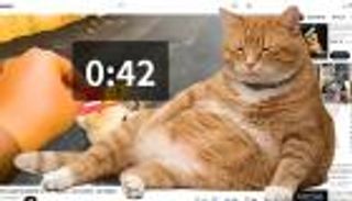 &laquo;Cat Gatekeeper&raquo; أداة تحارب إدمان السوشيال ميديا بطريقة غير تقليدية