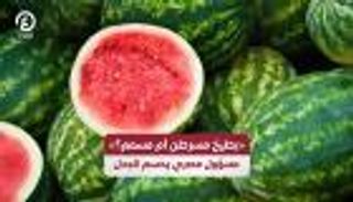 شائعات تطارد البطيخ المصري.. والحكومة تحسم الجدل برد رسمي