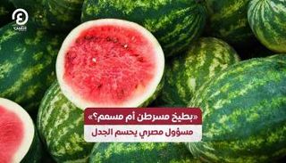 شائعات تطارد البطيخ المصري