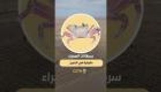 سرطانات الصحراء.. حقيقية في الصين