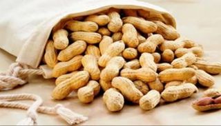 الفول السوداني