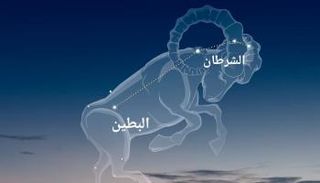12 مايو بدء طلوع "منزلة الشرطان" 