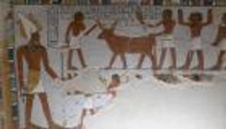 عثر عليهما بالصدفة.. مصر تكشف النقاب عن مقبرتين في الأقصر