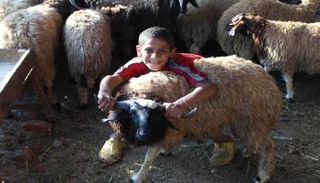 موعد وقفة عرفات وأول أيام عيد الأضحى 2026 في مصر