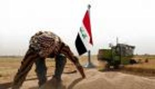 حصاد وفير من القمح.. العراق يطمح للاكتفاء الذاتي للعام الرابع
