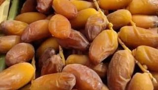 التمر التونسي