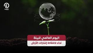 اليوم العالمي للبيئة 2026