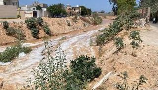 أمطار صيفية تضرب أشد بقاع الأرض جفافا