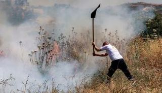 فلسطيني يحاول إخماد حريق أشعله مستوطنون في حقله بالضفة