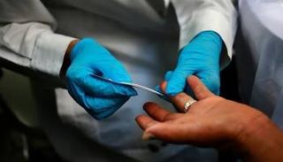 إنتاج خلايا الدم لدى البشر يختلف عن الفئران