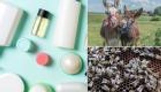 الكولاجين تحت المجهر.. هل تدفع البيئة والحيوانات ثمن هوس الشباب الدائم؟