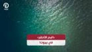 لماذا تحول لون البحر في بيروت إلى الأخضر؟