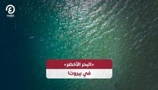 «البحر الأخضر»  في بيروت!