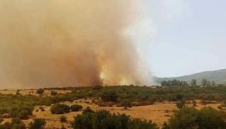 حريق جبل وادي التوت