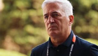 فلاديمير بيتكوفيتش