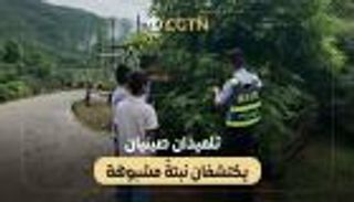 الصين تراهن على الوعي المبكر في مواجهة اقتصاد المخدرات
