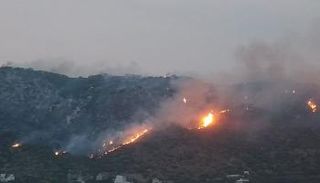 حريق جبل «غار الملح» في تونس