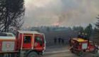 النيران تحاصر الغابات الجزائرية.. جهود مكثفة لاحتواء أسوأ 12 بؤرة تواصل الاشتعال