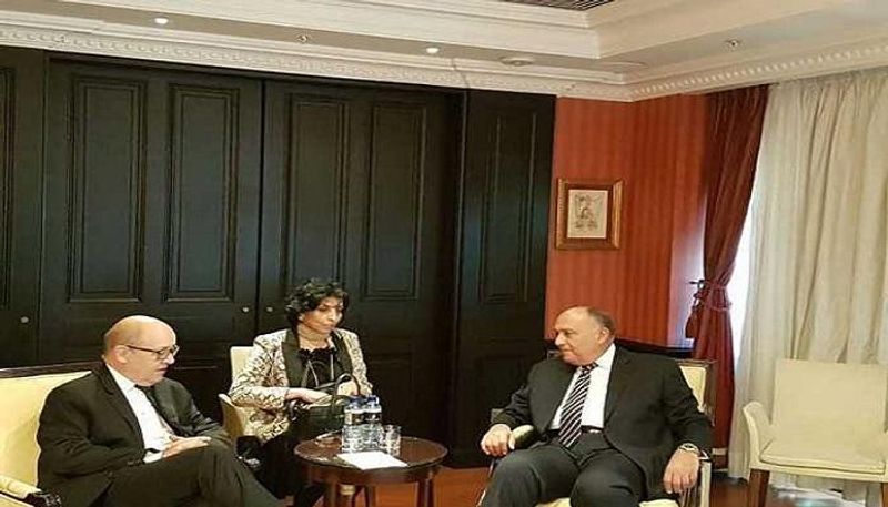 شكري ولو دريان