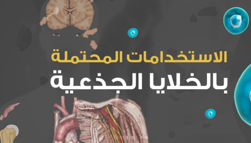 هذا ما تفعله الخلايا الجذعية