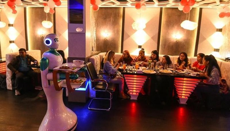 الروبوت "جينجر" يباشر عمله