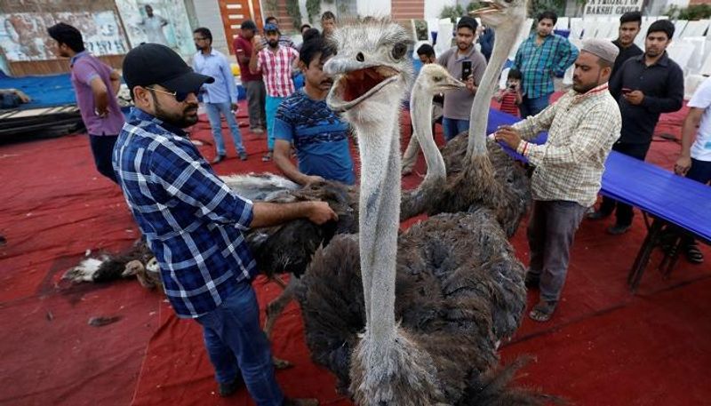 الوجبات قدمتها جمعية خيرية باكستانية.