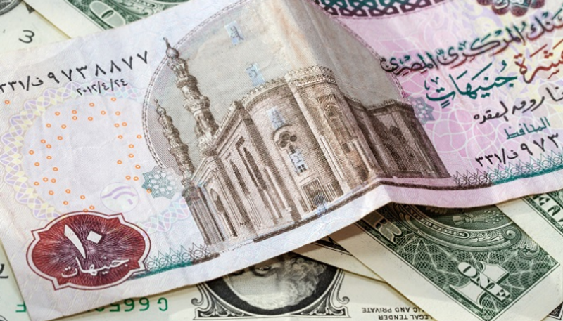 الدولار يلتقط أنفاسه أمام الجنيه المصري