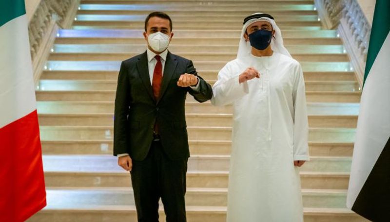 وزير الخارجية والتعاون الدولي الإماراتي ونظيره الإيطالي