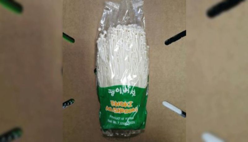 البكتيريا اكتشفت في شحنة فطر