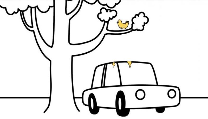 جانب من الفيديو