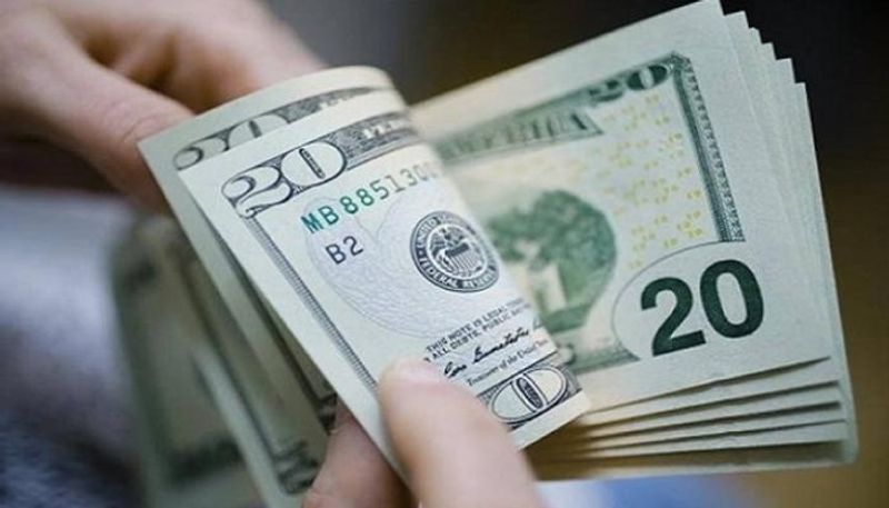 استقرار سعر الدولار في مصر