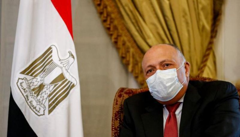 وزير الخارجية المصري سامح شكري