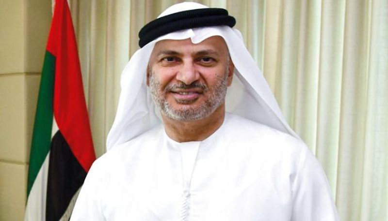 الدكتور أنور قرقاش