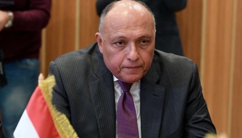 وزير الخارجية المصري سامح شكري