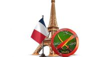 الإخوان في فرنسا - العين الإخبارية